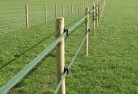 Forster SAelectric-fencing-4.jpg; ?>